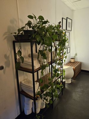 Honour Coffee & Raw Juice by null