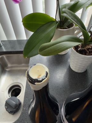 Some Good Wine by null