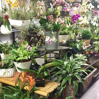 City Oasis - Gift Shops Near Me - Orlando, Florida City Oasis - Gift Shops Near Me - Orlando, Florida