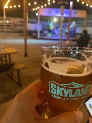 Skyland Ale Works by null