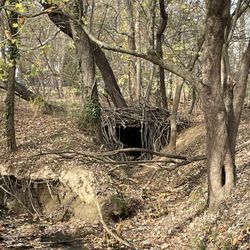 Benjamin Banneker Park