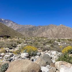 Chino Cone Alluvial Fan hike - View northeast
