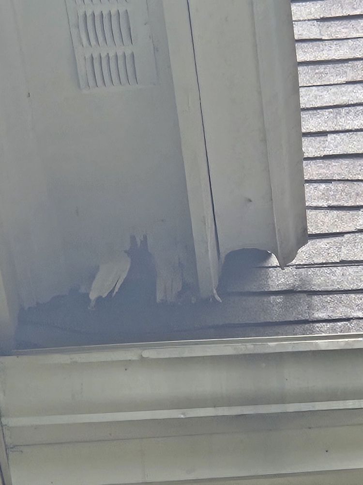 Slide of Top Pitch Storm & Disaster Services