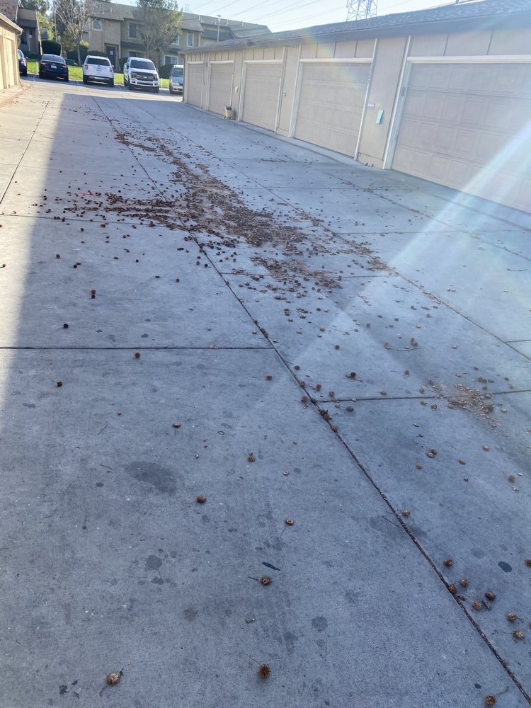 Slide of Four Seasons Roofing