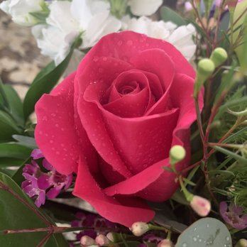 Laguna Beach Florist - Florists Near Me - Laguna Beach, California Laguna Beach Florist - Florists Near Me - Laguna Beach, California