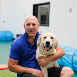 Andy's Doggy Day Care