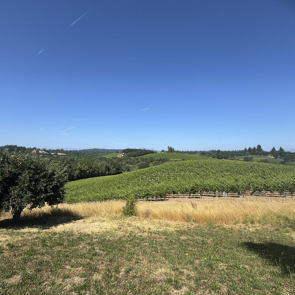 Iron Horse Vineyards - Wineries Near Me - Sebastopol, California Iron Horse Vineyards - Wineries Near Me - Sebastopol, California