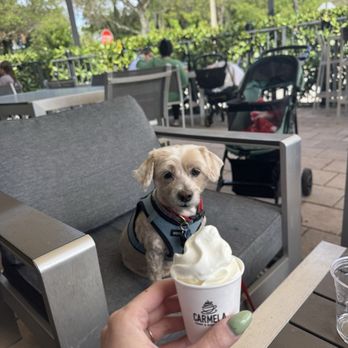 Carmela Coffee - Parkland - Coffee & Tea Near Me - Parkland, Florida