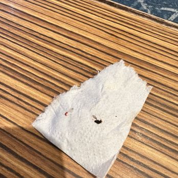 Golden Grill Restaurant - Dead gnat - American Near Me - Campo, California Golden Grill Restaurant - Dead gnat - American Near Me - Campo, California
