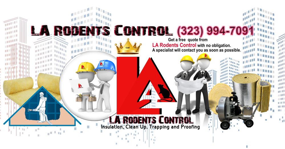 LA RODENTS CONTROL Updated October 2024 48 Photos & 12 Reviews