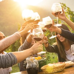 Vinos de Baja Tours