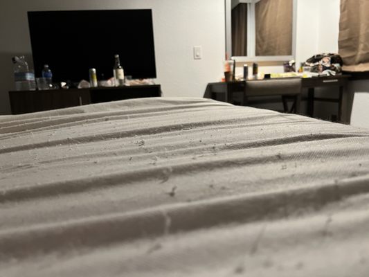 Serene Vegas Boutique Hotel by null