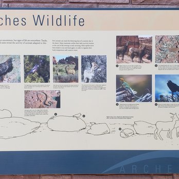 Island in the Sky Visitor Center - Different wildlife - Visitor Centers Near Me - Moab, Utah