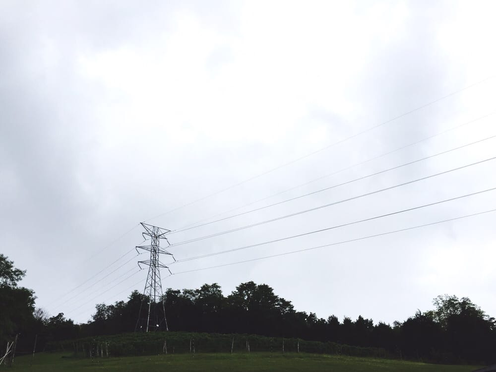 Camp Springs Winery - vineyard in Melbourne, KY