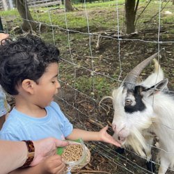 Red Hound Farms