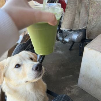 Yala Coffee - matcha - Coffee & Tea Near Me - Los Angeles, California Yala Coffee - matcha - Coffee & Tea Near Me - Los Angeles, California