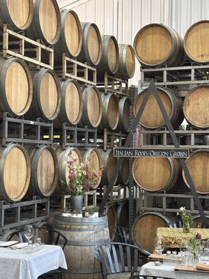 Apolloni Vineyards by null