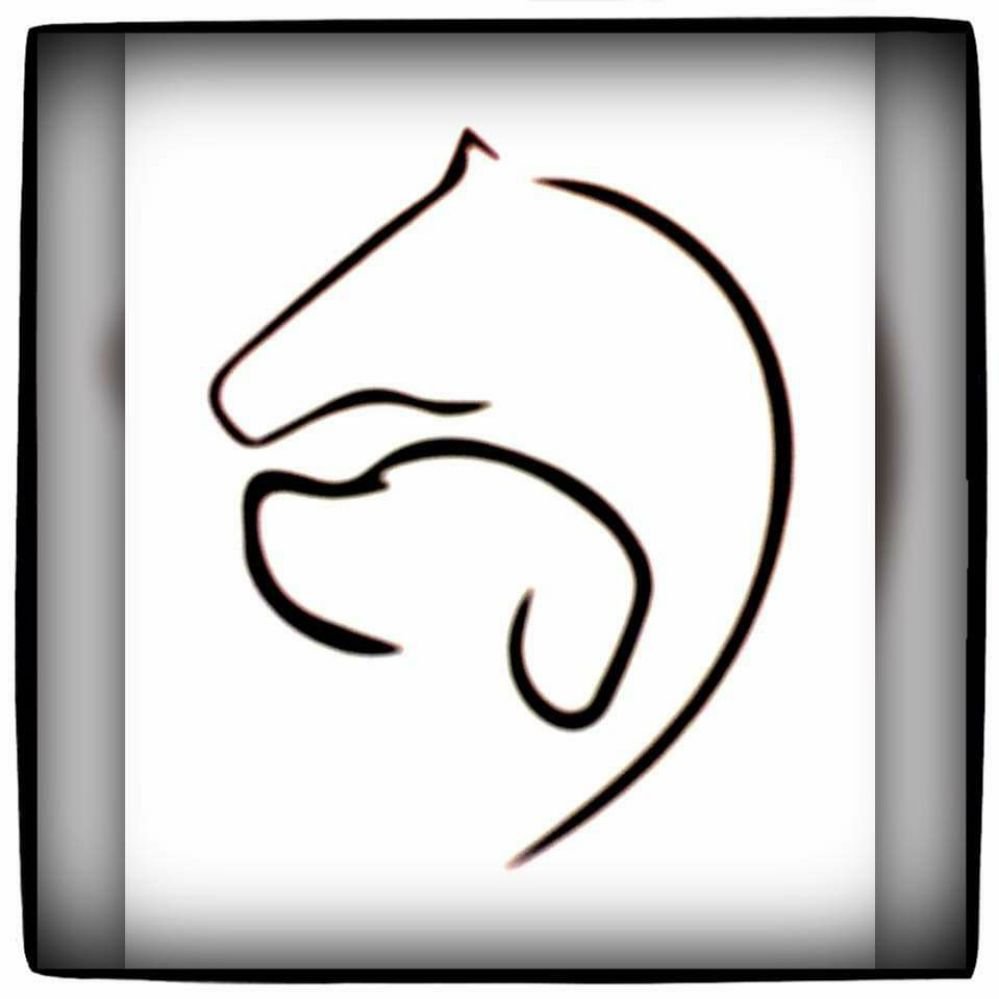 Horses N Hounds Training & Services - equestrian in Westminster, MD