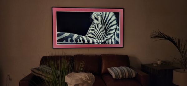 Carter Security Solutions