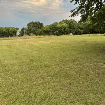 Billy’s Lawn Care - a baseball in a field - Tree Services Near Me Billy’s Lawn Care - a baseball in a field - Tree Services Near Me