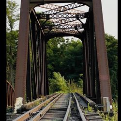 Foster Park - Bridge