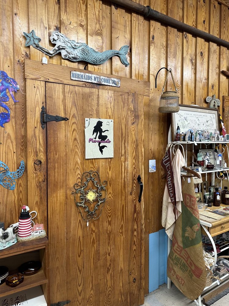 Mermaid’s Menagerie Image