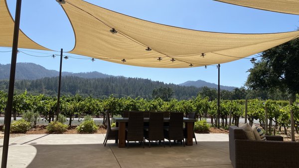 Benessere Vineyards by null