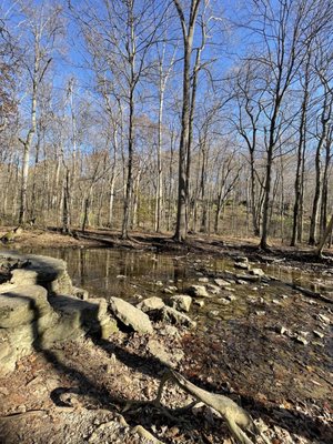 Glen Helen Nature Preserve by null