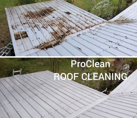 Tampa Bay Roof Cleaning Logo