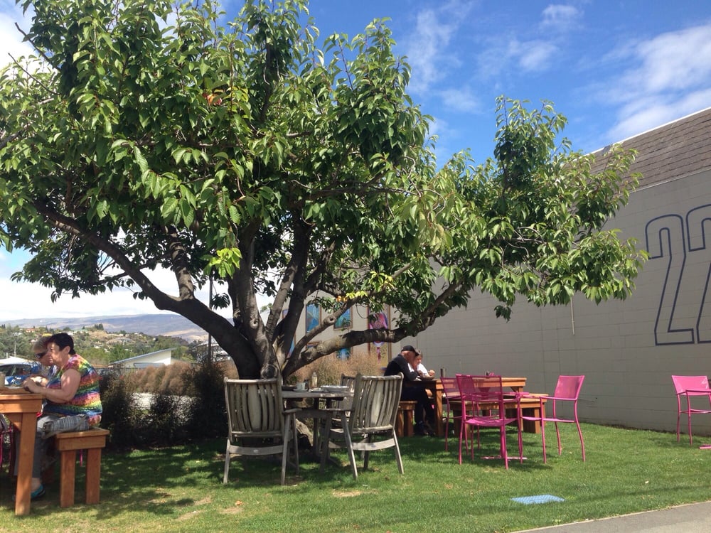 THE TIN GOOSE CAFE 22, Centennial Ave, Alexandra, Otago, New Zealand