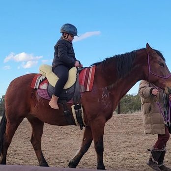 Miercoles Moon - Horseback Riding Near Me Miercoles Moon - Horseback Riding Near Me