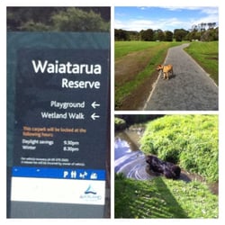 Waiatarua Reserve - A great dog park located in Meadowbank