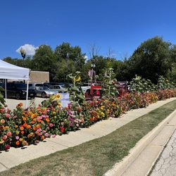 Village of Greendale - Nice array of flowers to walk next to while browsing the area.