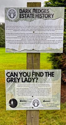 The Dark Hedges by null