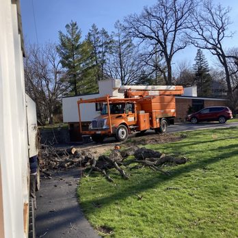 Velazquez Tree Care - Tree Services Near Me - Mount prospect , Illinois