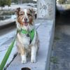 Glendale Narrows Riverwalk gift card