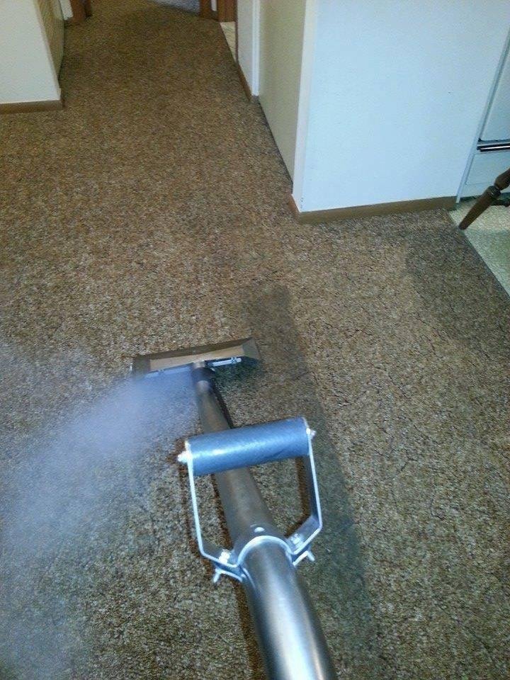 WOLVERINE PROFESSIONAL CARPET AND FURNITURE CLEANING - Updated January