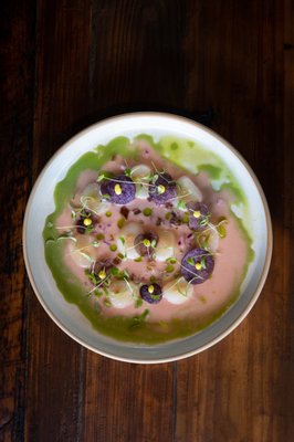 Fortuna's Row by null