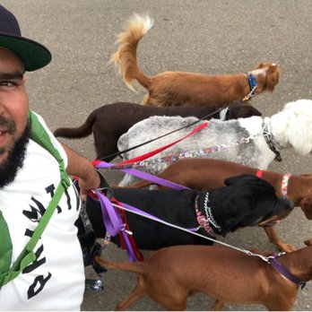 The Bark House Pet Service - Dog Walkers Near Me The Bark House Pet Service - Dog Walkers Near Me