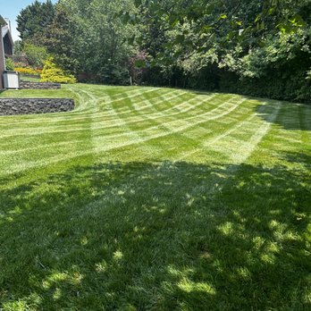 Yard Fellas - Backyard right after a mow - Lawn Services Near Me Yard Fellas - Backyard right after a mow - Lawn Services Near Me