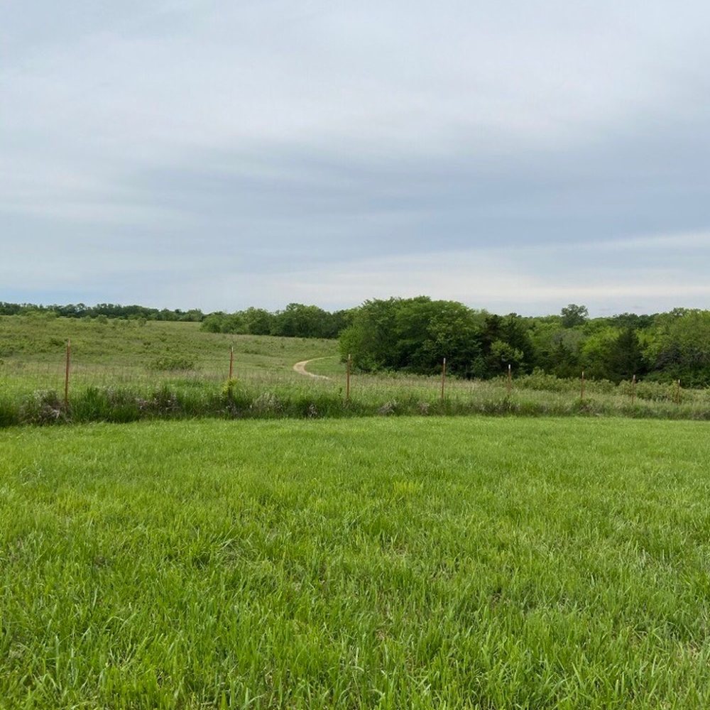 Prairie Center - Parks Near Me - Olathe, Kansas