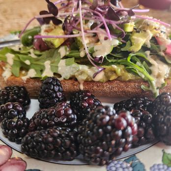 The Earthly Elephant - Avocado toast with blackberries - Juice Bars & Smoothies Near Me - Slidell, Louisiana