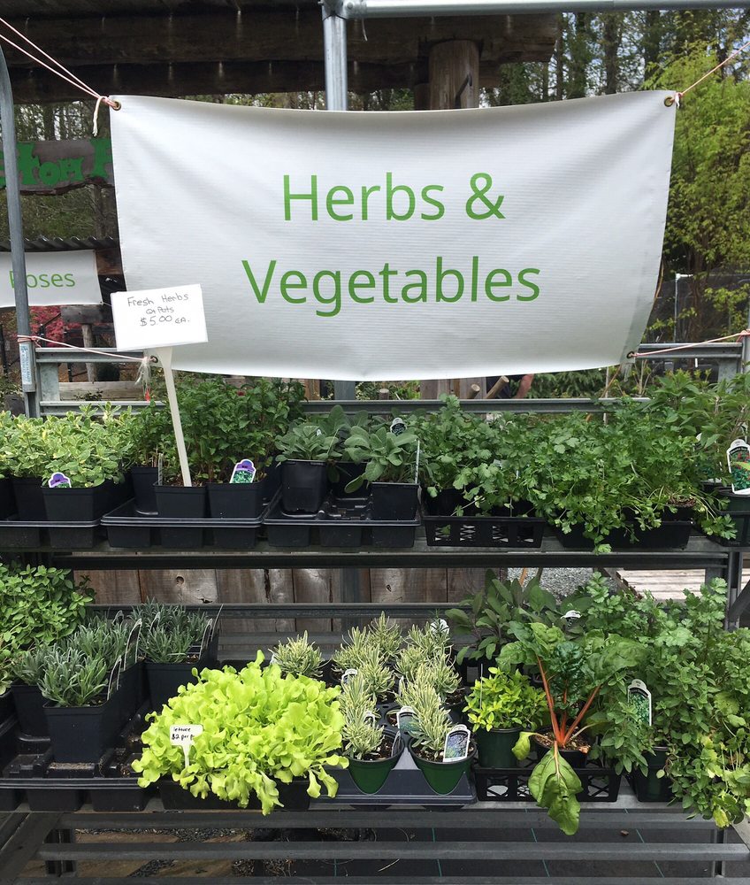 SHOUSE NURSERY RETAIL OUTLET Updated August 2024 3621 Reynolda Rd