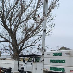 Canyon Tree Service