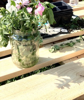 Pelham Bay Park by null