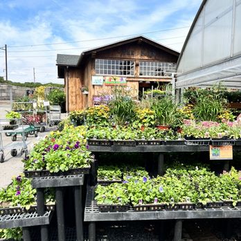 PRIMEX GARDEN CENTER - Updated February 2026 - 63 Photos & 78 Reviews