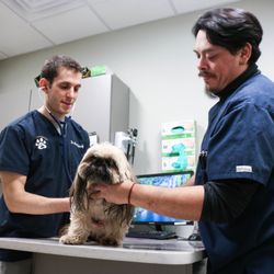 Pure Paws Veterinary Care of Hell's Kitchen