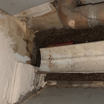 Knox Village - Leak in roof for over a month they have yet to fix the issue - Apartments Near Me - New Windsor, New York Knox Village - Leak in roof for over a month they have yet to fix the issue - Apartments Near Me - New Windsor, New York