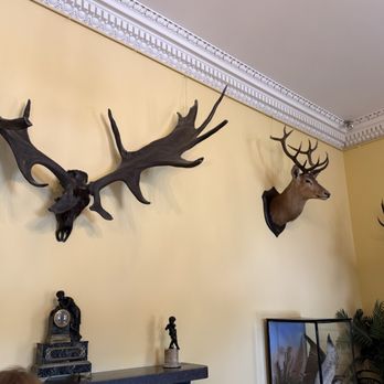 Muckross House - Lots of horns - Museums Near Me - Killarney, Kentucky