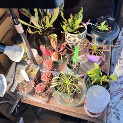 The Other Side Nursery